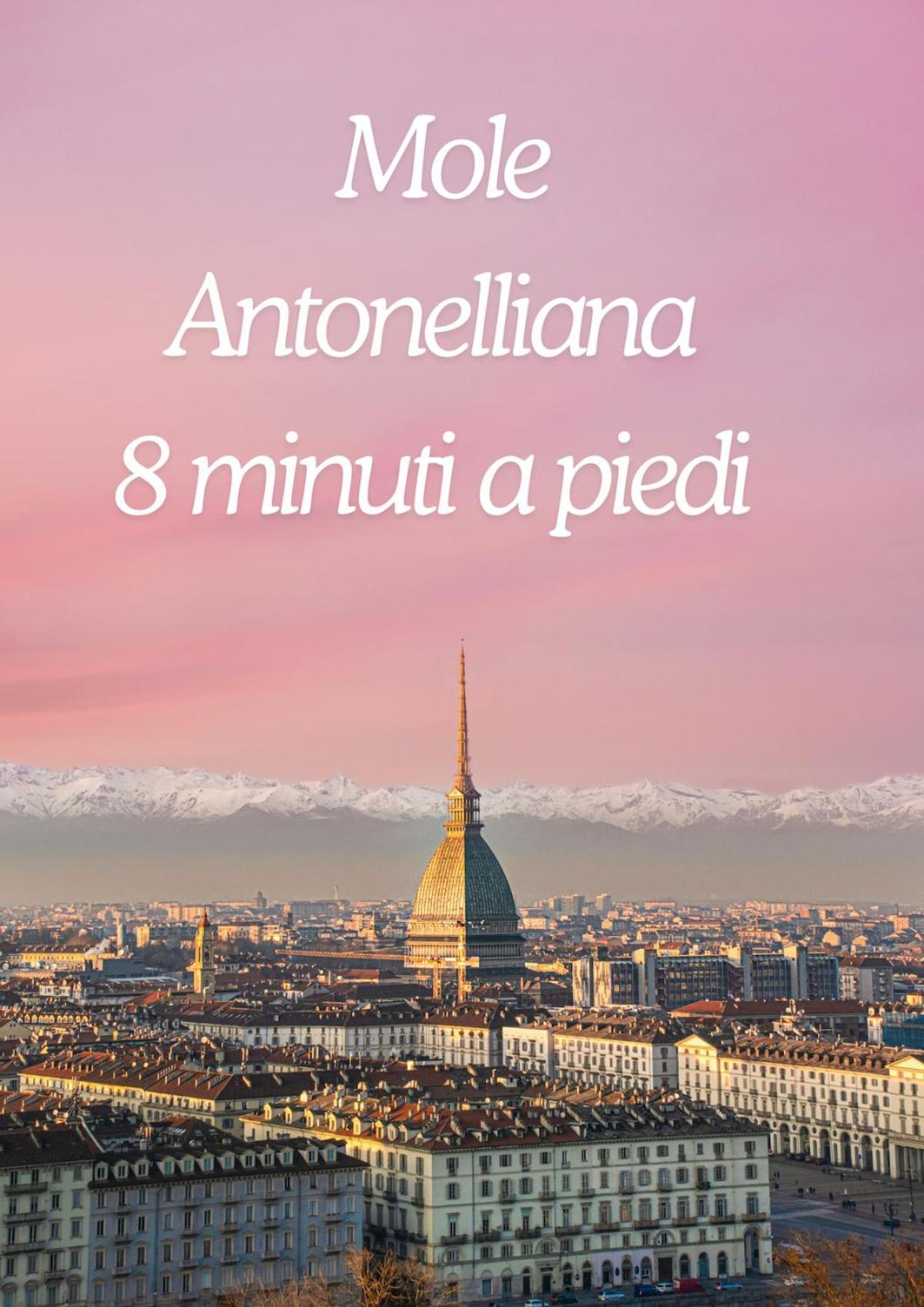 Appartamento Mole Antonelliana Elegant Loft Centro *
